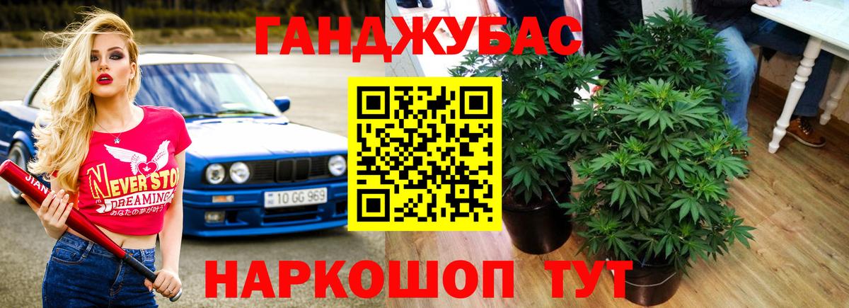 Каннабис ГИДРОПОН  Каннабис тримм  Артём  Вход с VPN  Канабис план  Марихуана сатива 